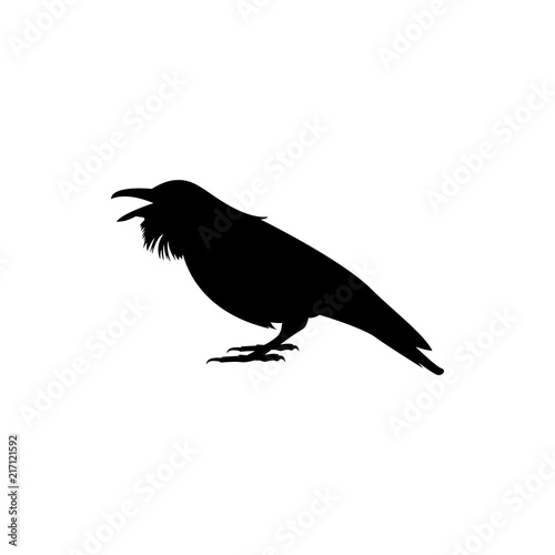 crow silhouette
