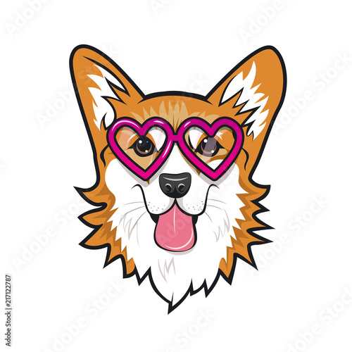 Cute dog welsh corgi face with pink glasses. Color vector illustration