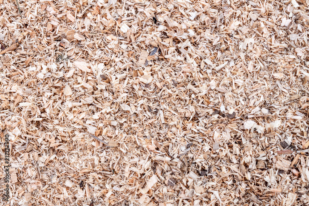 Background of sawdust. Texture. Wallpaper Background of sawdust. Texture. Wallpaper