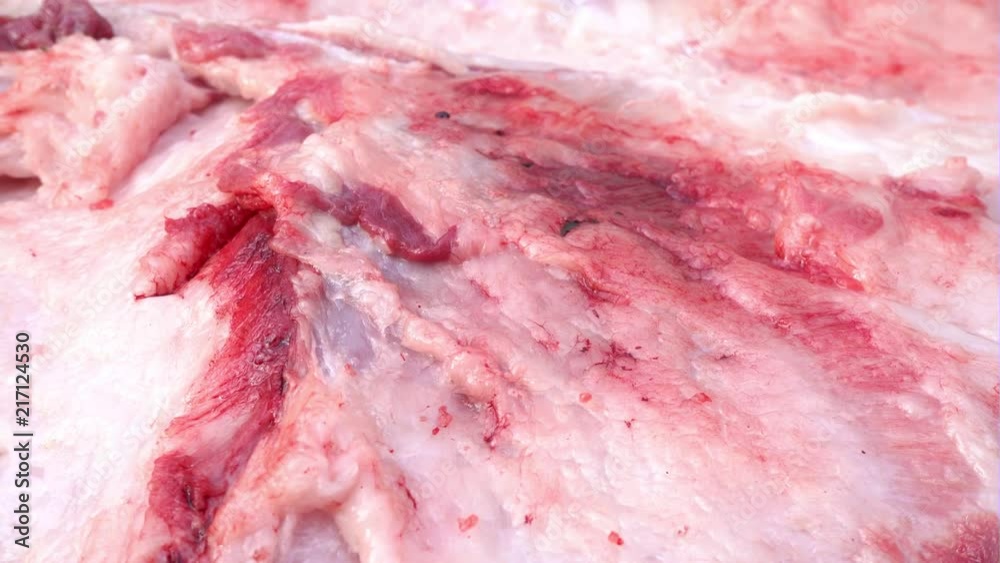 Fresh lard, greasy layer, close-up. Pig Slaughter Fresh lard, greasy layer, close-up. Pig Slaughter