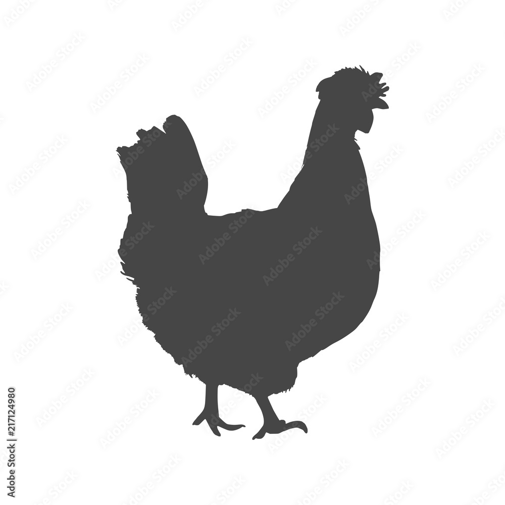 Chicken (Hen) Vector Illustration, chicken silhouette icon Chicken (Hen) Vector Illustration, chicken silhouette icon