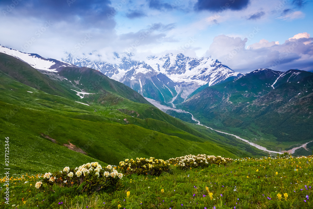 Fascinating lawn with yellow and white flowers.  Sky with clouds. Landscape with high mountains. Eco resort, relax for tourists. Location the Upper Svaneti, Georgia, Europe.