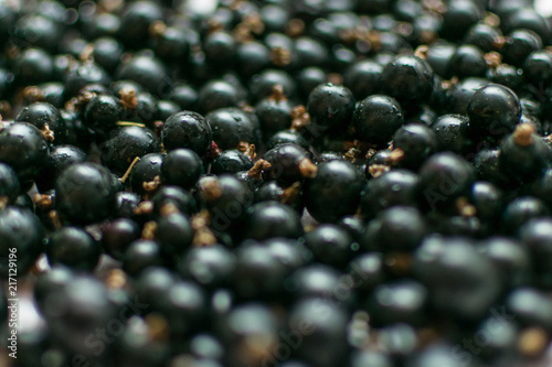 Background of black currant berries.