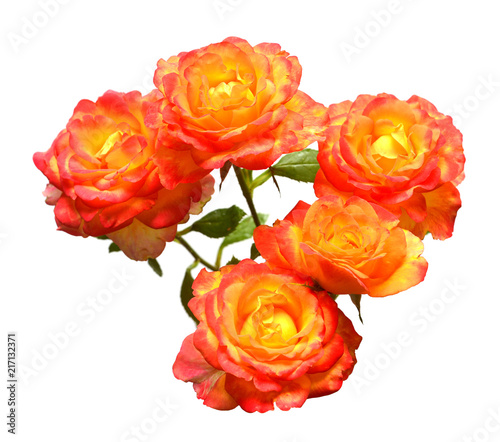 Bouquet of beautiful flowers orange roses isolated on white background. Wedding card. Summer. Spring. Flat lay  top view. Love. Valentine s Day. Easter