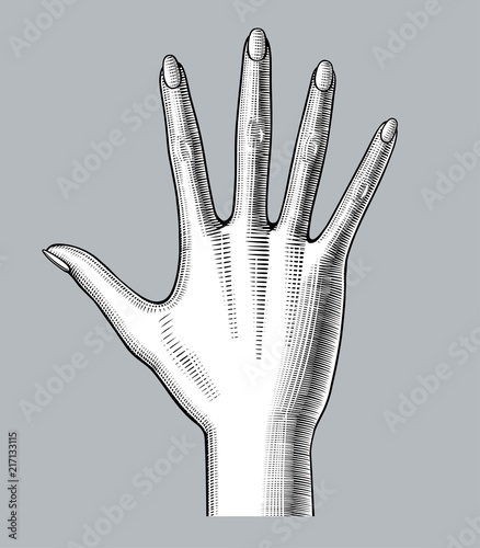 Woman's wide opened hand palm down spread the five fingers