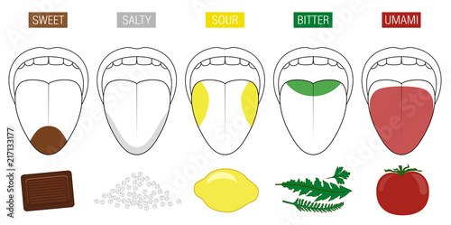 Tongue taste areas. Illustration with five sections of gustation - sweet, salty, sour, bitter and umami - represented by chocolate, salt, lemon, herbs and tomato.