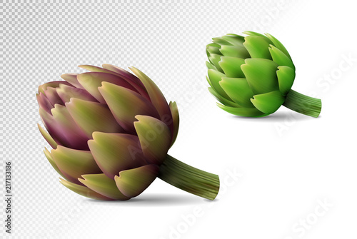 Two fresh globe artichoke on transparent background. Realistic vector eps10, 3d illustration