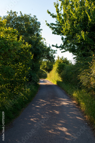 Small road on English countryside