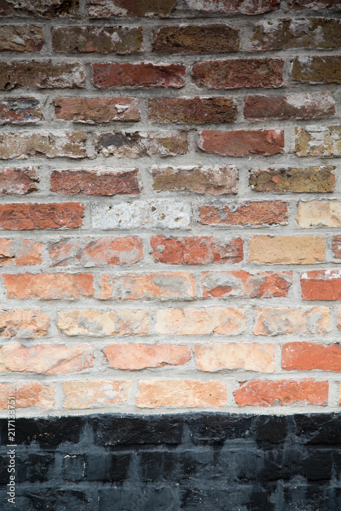 Fototapeta premium Brick Wall