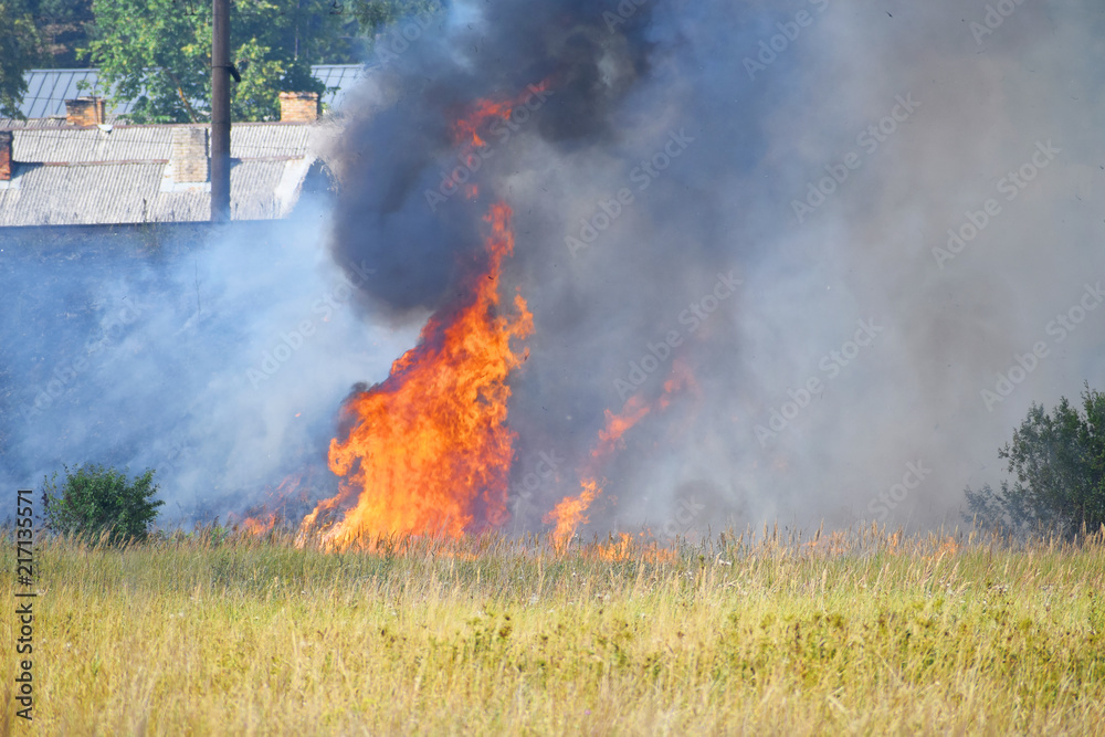 Wild fire and smoke in dry meadow grass due to hot windy weather in summer started to burn from railway behind.