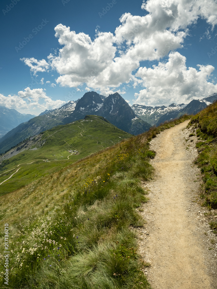 view of mont blanc and the valley surrounding chamonix in the french alps during summer showing green alpine meadows, pristine mountains and clear blue skies