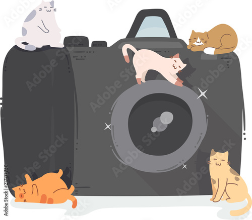 Cats Camera Illustration