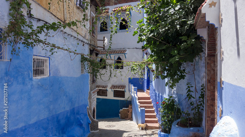 CHEFCHAOUEN, Famous blue city. Traditional moroccan architectural details © Lia Aramburu