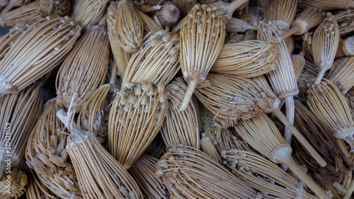 Berber toothpicks - the dried heads of fennel flowers, used in Morocco for cleaning teeth photo