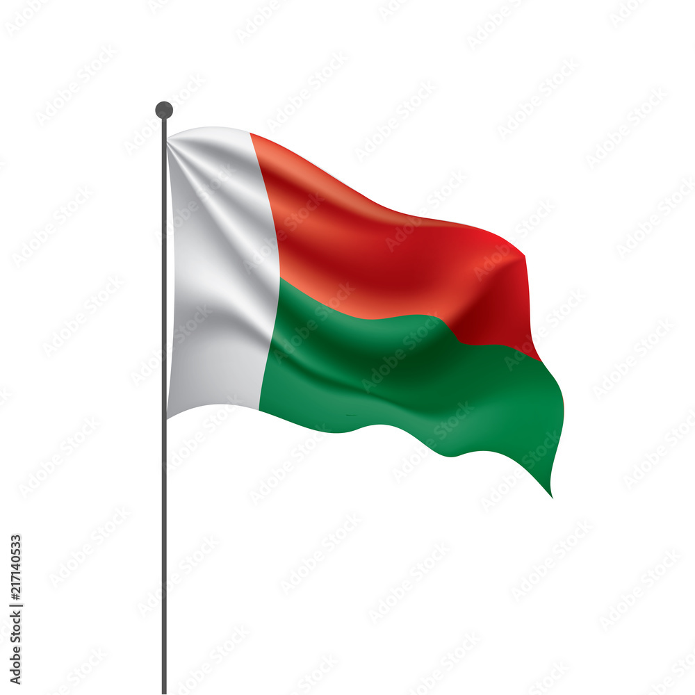 Madagascar flag, vector illustration on a white background Madagascar flag, vector illustration on a white background