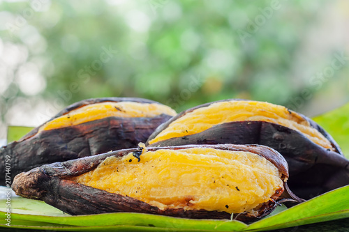 Delicious grill silver bluggoe banana on banana leaf against blurred natural green background for Thai dessert, asian food and eating concept  photo