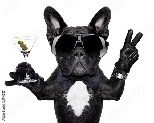 peace cocktail dog © Javier brosch