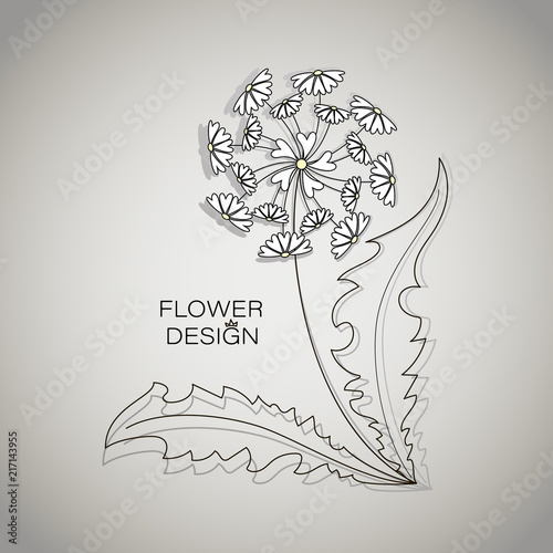 Fototapeta Naklejka Na Ścianę i Meble -  Summer flower. A dandelion of hearts. Flower design. Logo, emblem, poster. Words and contour drawing of a dandelion on a gray background.