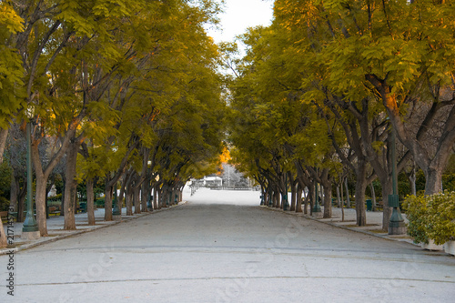 Fototapeta Naklejka Na Ścianę i Meble -  Road inside a park 