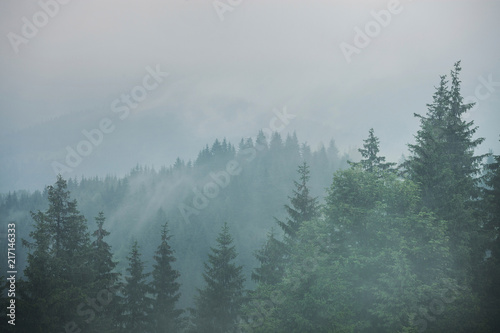 Fototapeta Naklejka Na Ścianę i Meble -  Green mountain forest in cloudy and rainy dark moody weather
