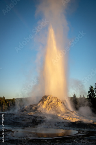 Castle Geysir Erupting at sunset in Yellowstone National Park