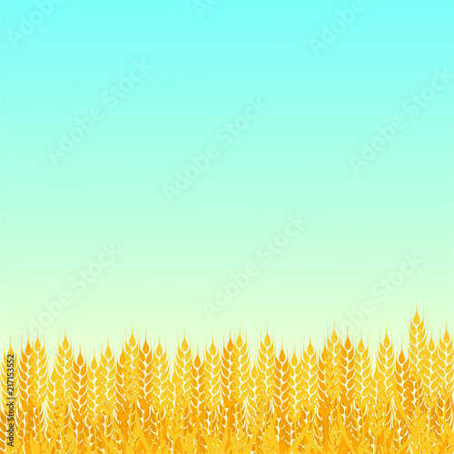 Summer sunny landscape with a field of ripe wheat gradient flat style design vector illustration. Beautiful background for your needs. Sunny day in the wheat field.
