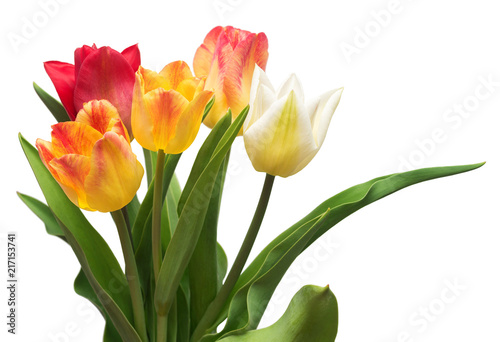 Bouquet of colorful and beautiful tulips flowers isolated on white background. Still life  wedding. Flat lay  top view