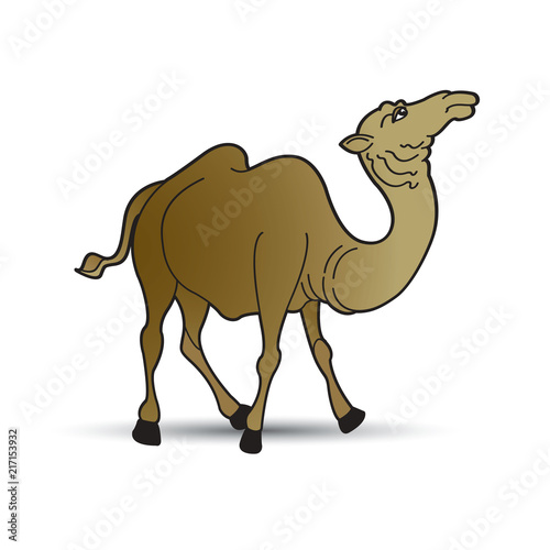 camel walking on smooth shadow vector drawing