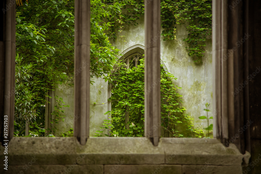 A beautiful details of an abandoned church in London. Ivy growth on building ruins. Beautiful, elegant look.