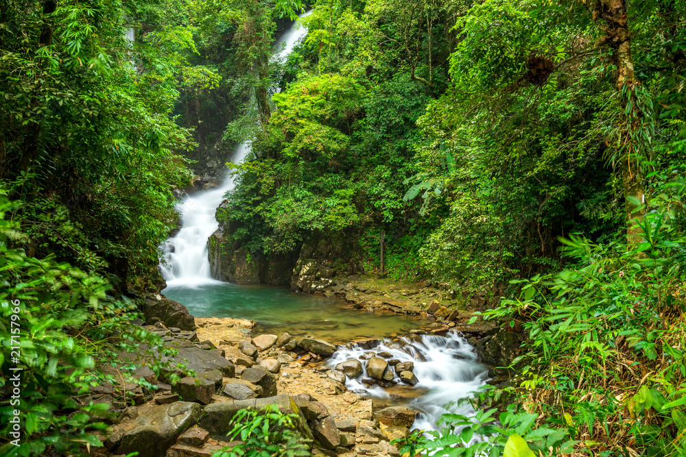 giant waterfall in deep forest with tree and stone giant waterfall in deep forest with tree and stone