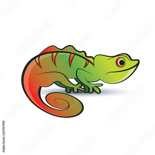 colorful chameleon on smooth shadow vector drawing