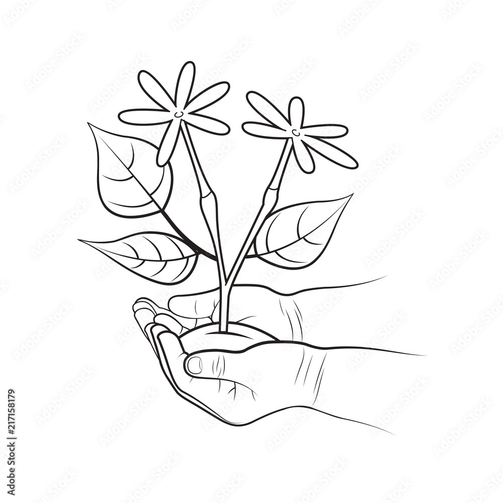black outline plant with flowers on child hands vector drawing Stock ...