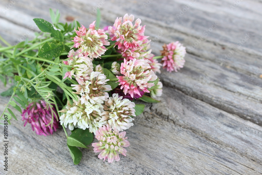 Wildflowers on the background of boards