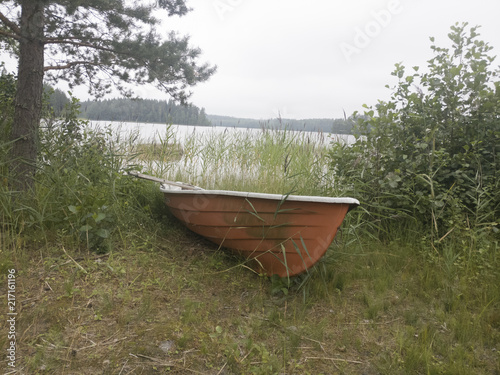 Boschi di betulle e lago in Finlandia photo