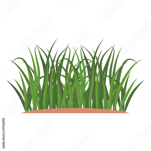Bunches of green grass on an earthen mound. Design of summer cards. Flat cartoon illustration. Objects isolated on a white background.
