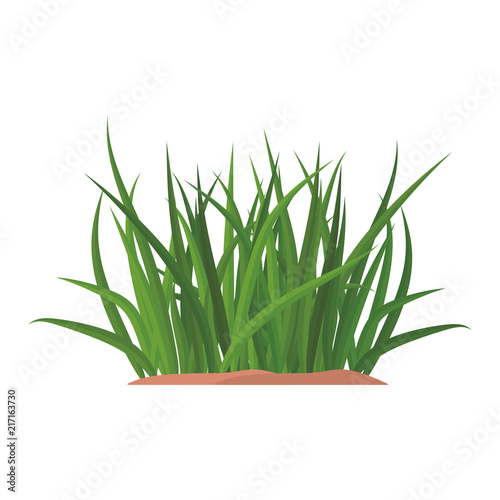 Bunches of green grass on an earthen mound. Design of summer cards. Flat cartoon illustration. Objects isolated on a white background.