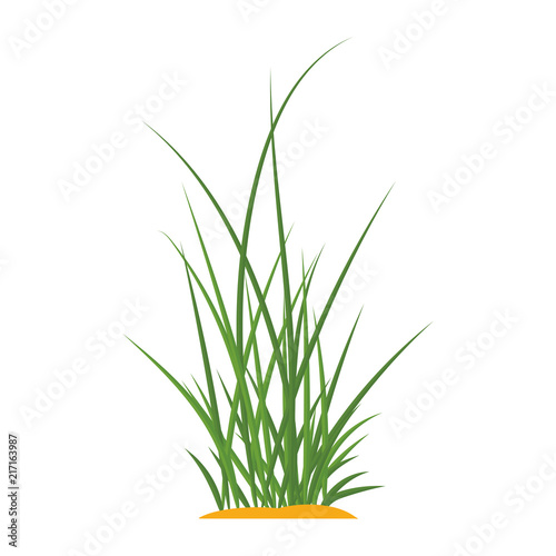 Bunches of green grass on an earthen mound. Design of summer cards. Flat cartoon illustration. Objects isolated on a white background.