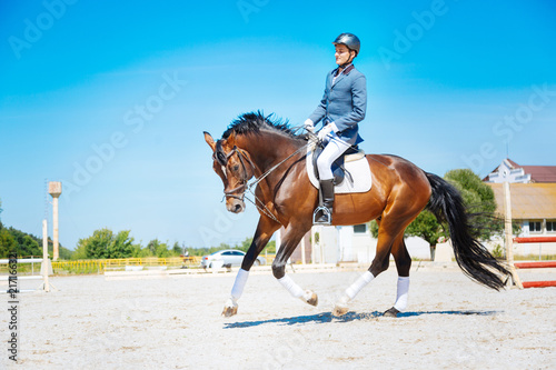 Professional racehorse. Experienced handsome horse man riding professional dark brown racehorse
