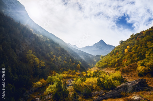 Morning light between trees and mountains, on the path to the lake of Frisson, in Maritime Alps Park, Piedmont Italy