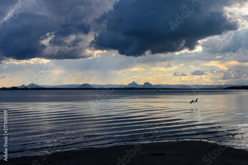 Two birds flying low over the water near sunset under a dramatic ominous sky will rain falling on the distant mountains - Bribie Island Australia