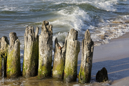 Wooden groyne on one of the beaches