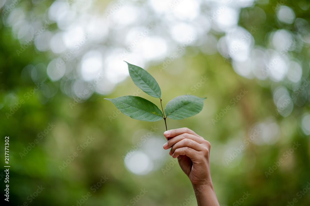 Hands and nature love Bright love Have to give each other Love and beauty in a natural way. Hands and nature love Bright love Have to give each other Love and beauty in a natural way.
