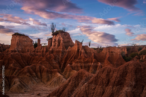 desert  