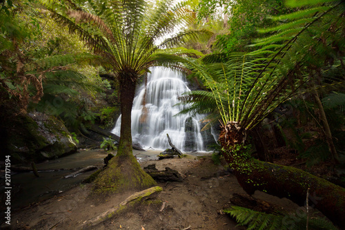 Henderson Falls Cape Otway photo