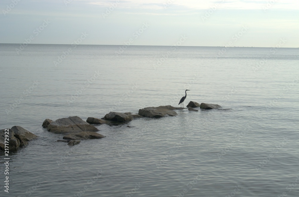 Fototapeta premium lake erie