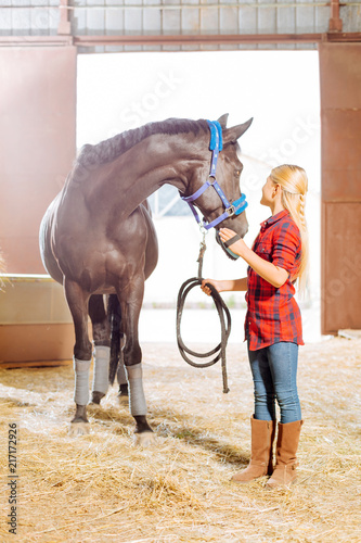 Standing in stable. Cute schoolgirl wearing riding boots standing in stable and looking at big dark horse