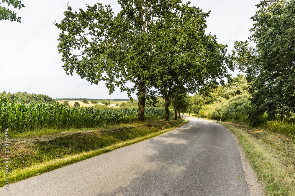 Rural road in czech countryside.