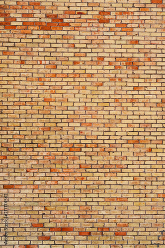Brick wall pritrait background