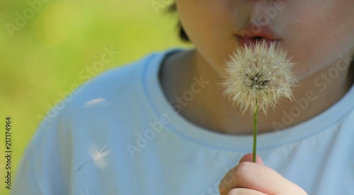 Bambino soffia dente di leone photo