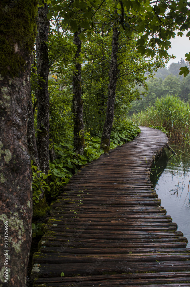 Croazia, 28/06/2018: una passerella di legno nel Parco nazionale dei laghi di Plitvice, uno dei parchi più antichi dello stato al confine con la Bosnia Erzegovina